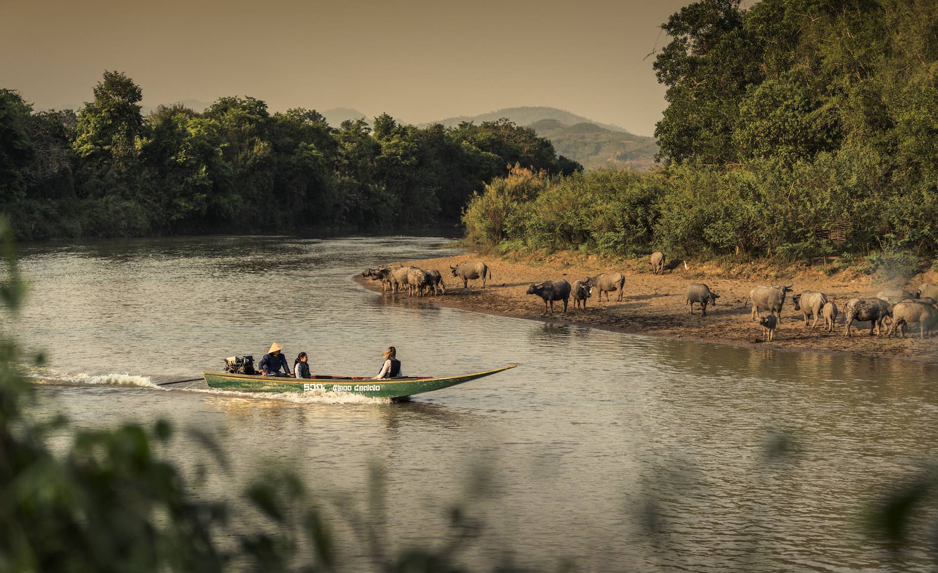 Four Seasons Tented Camp Golden Triangle