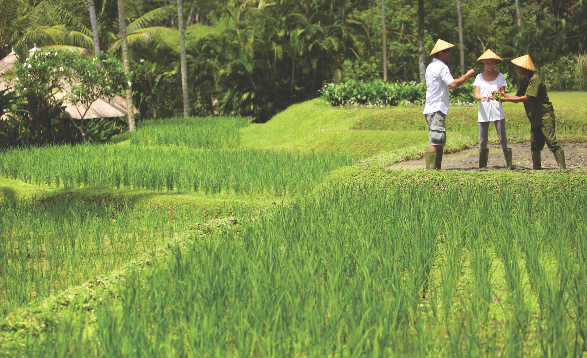 Four Seasons Resort Bali at Sayan