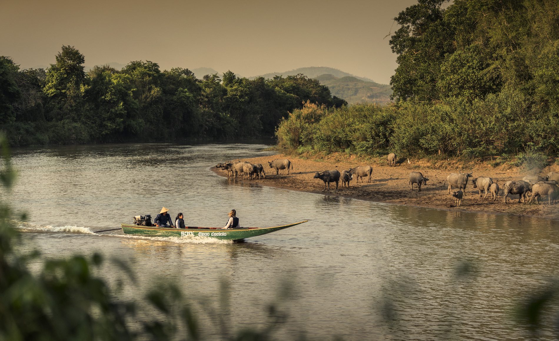 Four Seasons Tented Camp Golden Triangle