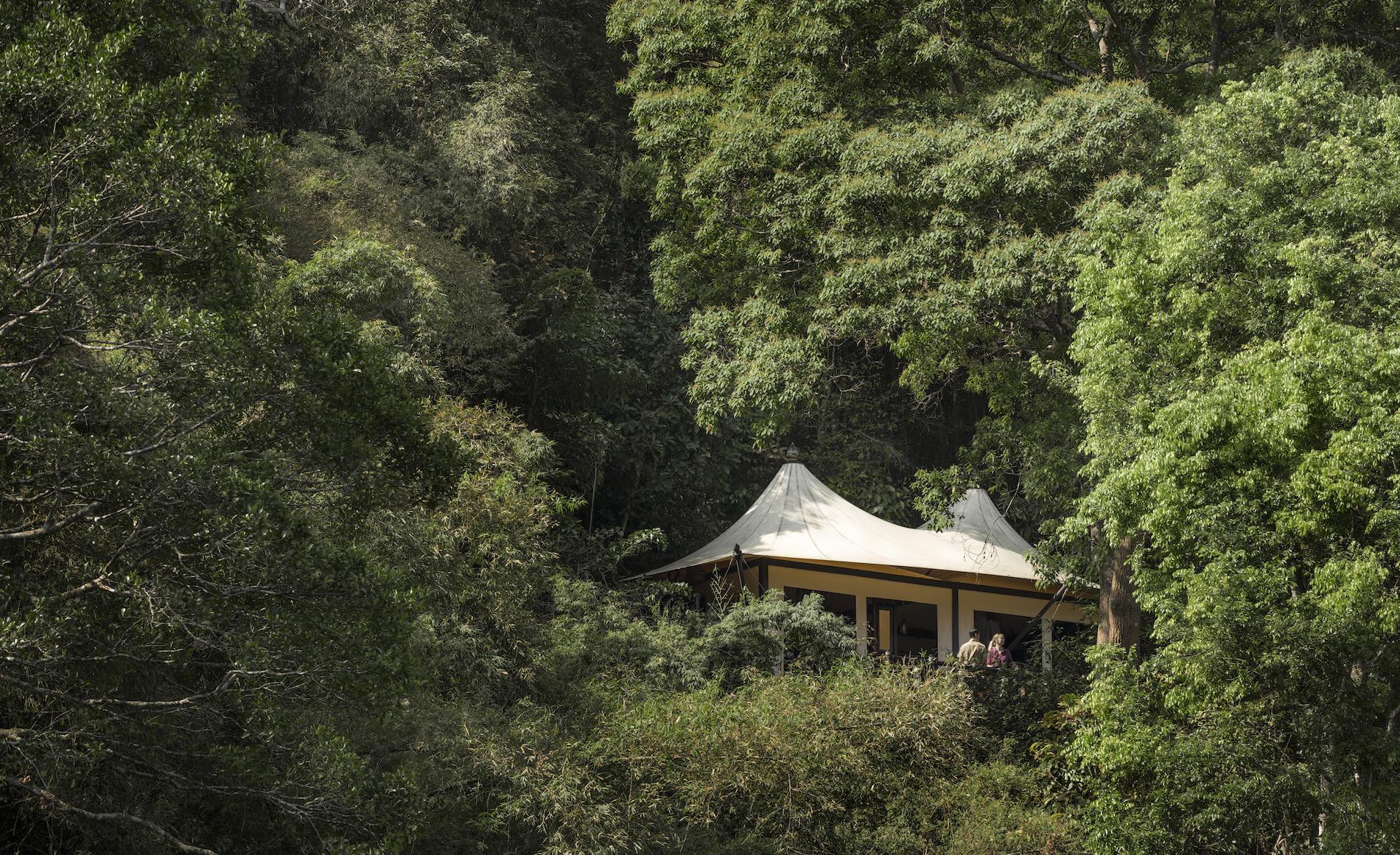 Four Seasons Tented Camp Golden Triangle