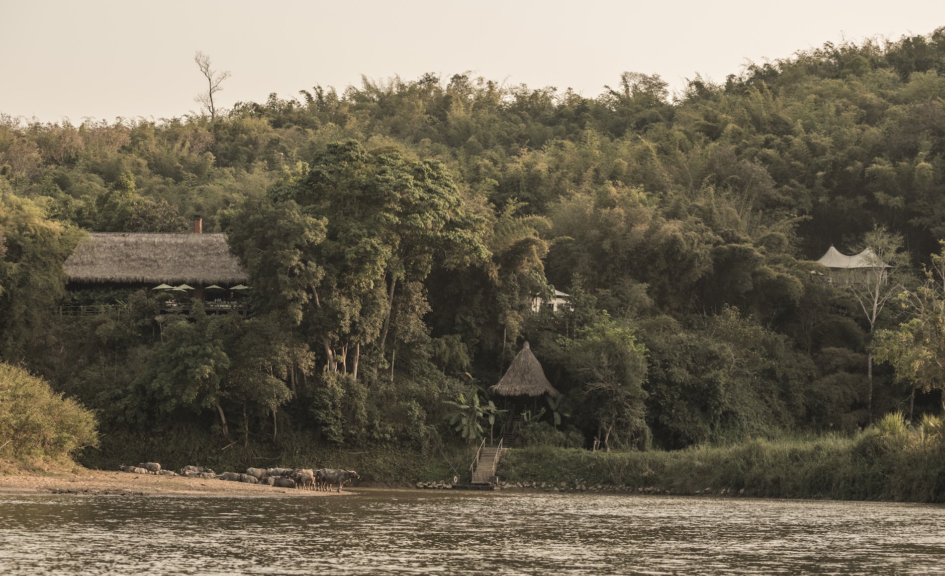 Four Seasons Tented Camp Golden Triangle