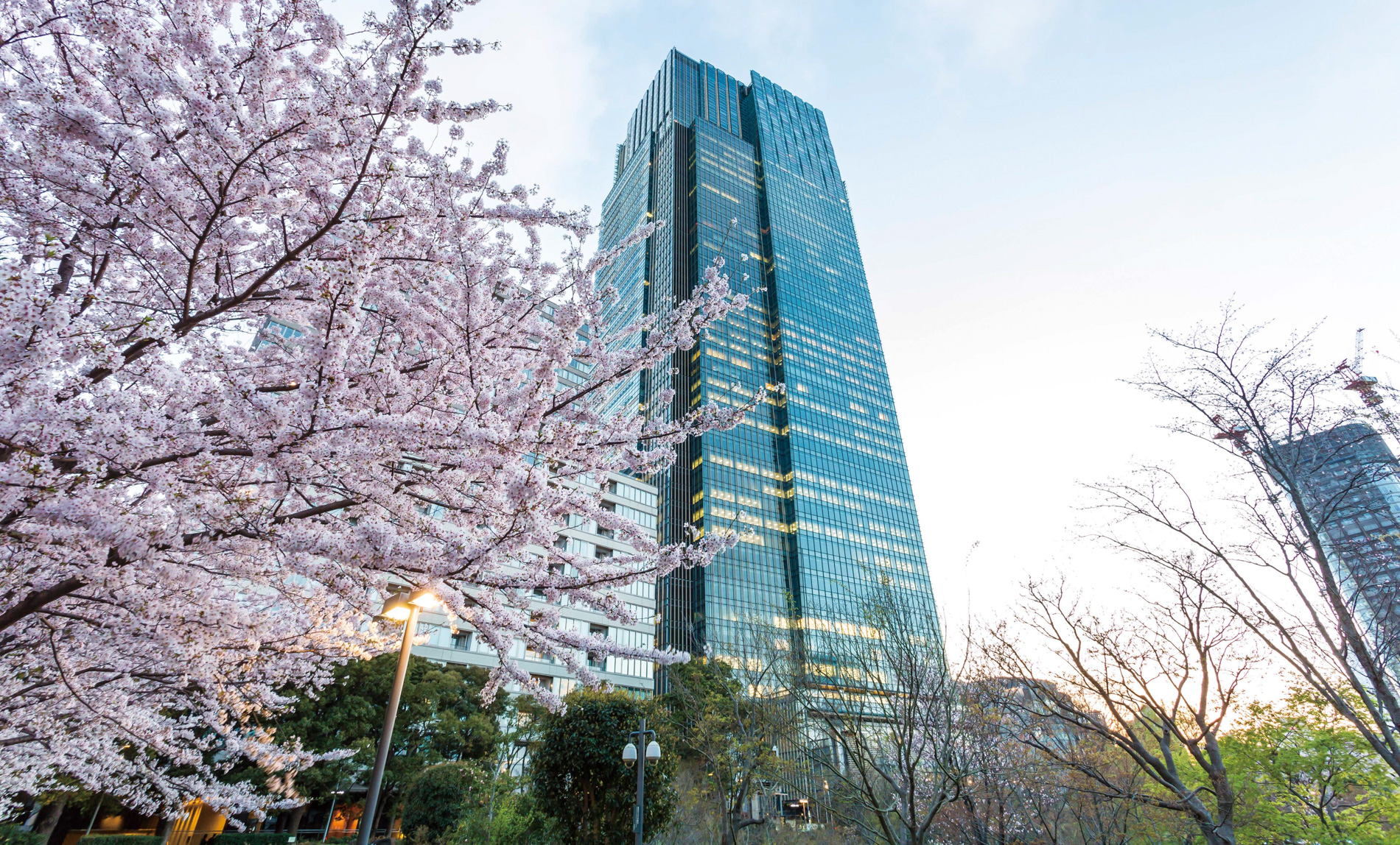 The Ritz-Carlton, Tokyo