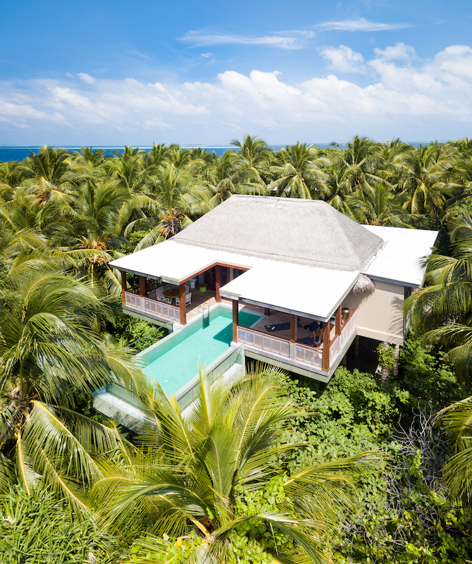 Treetop Pool Villa