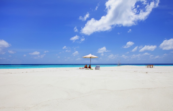 Sunbathing on the Sandbank