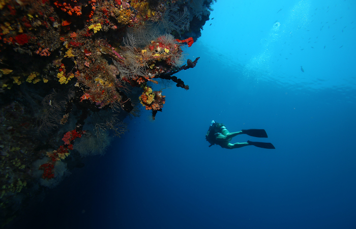 House reef diving