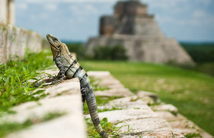 Uxmal Ruins