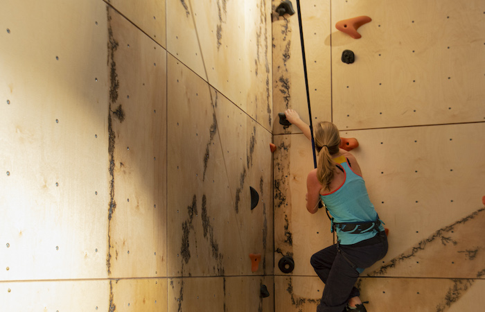 Climbing Wall