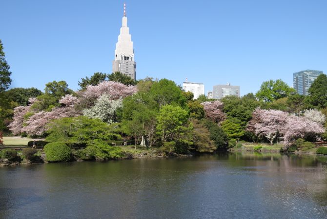 Shinjuku Gyoen National Garden