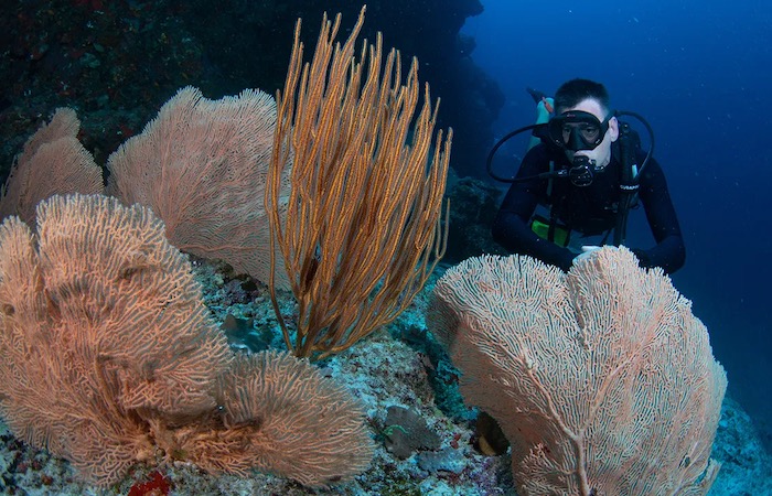 Underwater Discovery