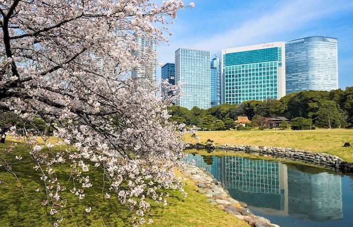 Hamarikyu Gardens