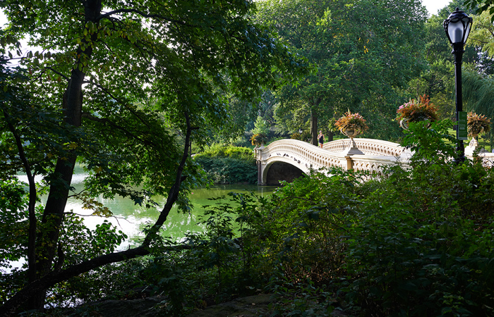 Run in Central Park