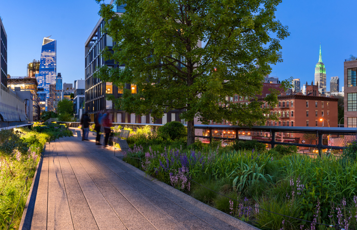 Walking the High Line