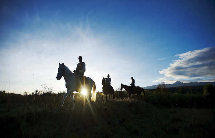 Horse Riding