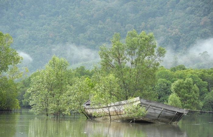 A tour of the famous Langkawi’s mangroves