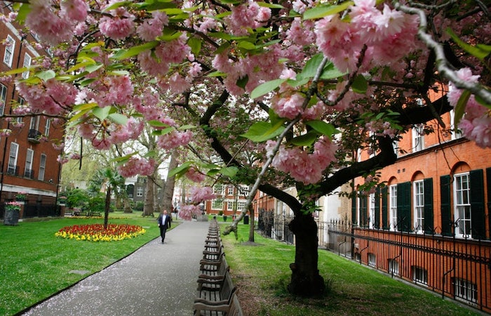 Mount Street Gardens