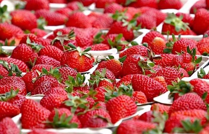 Marylebone Farmer’s Market