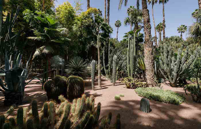 Majorelle Garden and YSL Museum