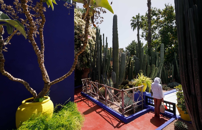 Majorelle Garden and YSL Museum