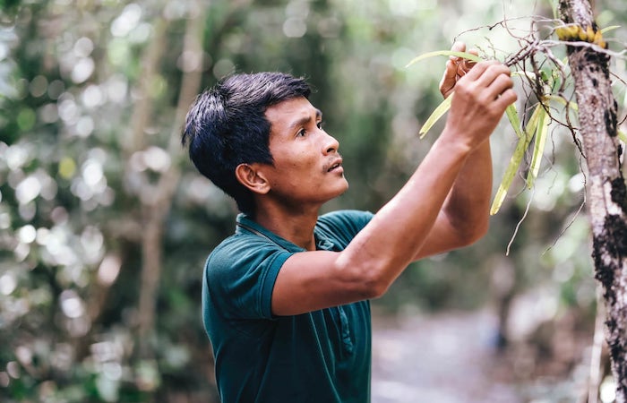 Foraging & Cooking Class