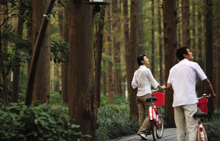 Cycle with me to explore the beauty of West Lake