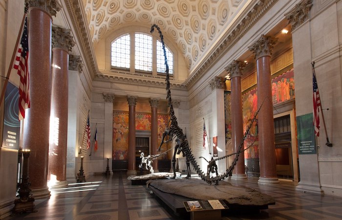 American Museum of Natural History